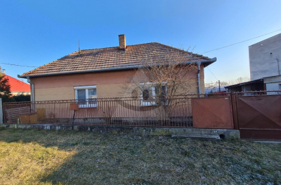 For sale 3 bedroom family house with garage in Nesvady